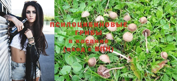 синтетический гашиш Белоозёрский