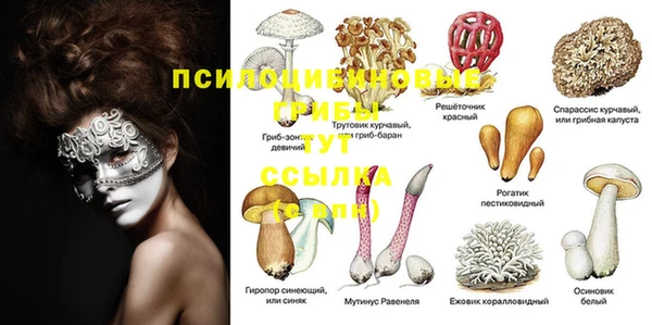 синтетический гашиш Белоозёрский