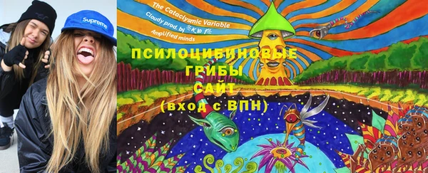 МДМА Белокуриха