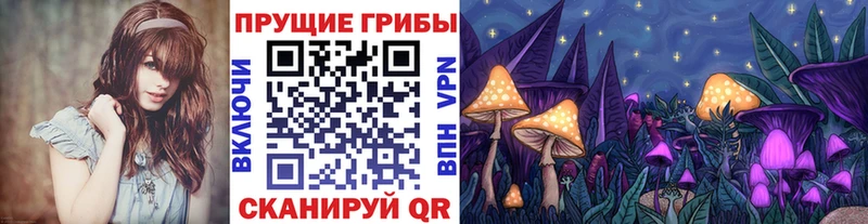 Галлюциногенные грибы GOLDEN TEACHER  Лесозаводск 