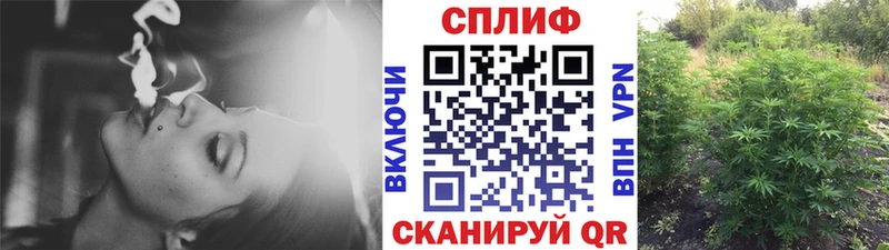 Канабис тримм Лесозаводск